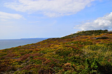 哪吒怎么读拼音